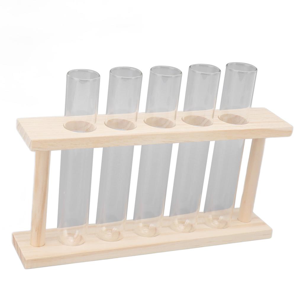 5 пробирок террариум для растений прозрачный наблюдение за ростом состояние террариум для растений с деревянной подставкой