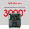 DAYGEMEG Outdoor Mobile Power Station CN plug (adapter included)