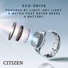 Citizen Часы ECO-DRIVE CA0690-88L 44 мм