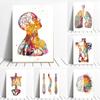 Colorful Human Anatomy Poster Artwork Medical Wall Picture Viscera Muscle Skeleton Canvas Print Painting Hospital Clinic Decor