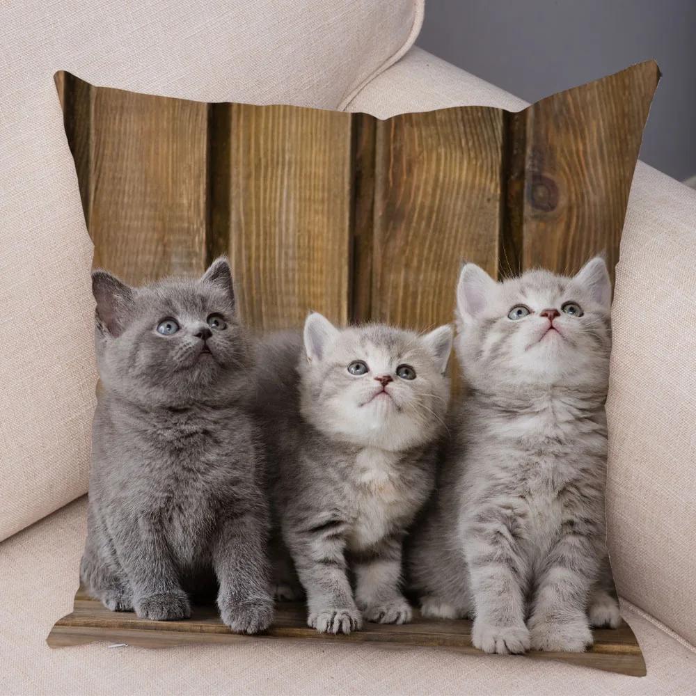 Русская голубая Британская короткошерстная Наволочка Декор Милый кот Домашнее животное Животное Наволочка Мягкий плюшевый Чехол для подушки для машины Дивана Дома