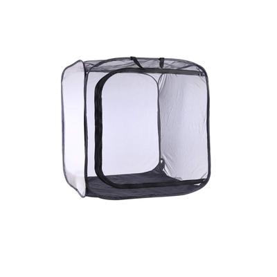 Мини-дом, сад, палатки, насекомое, цветок, растение, полупрозрачная теплица