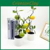 Lemon Plant Green Decor With Faux Fruits For Home Styling And Props Photography