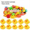 Мини Животные Резиновые Утки Миниатюрное Настольное Украшение Мультяшная Милая Утка Разные Стили Домашнее Офисное Настольное Украшение TMZ