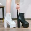 Nightclub Show Party Ankle Boots Square Heel 15cm Sexy Platform White Super High Heels Handsome Motorcycle Boots