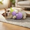 Eggplant Shaped Squeaky Dog Toys Adorable Interactive Cat Toys Cat Teaser Toy  Entertainment