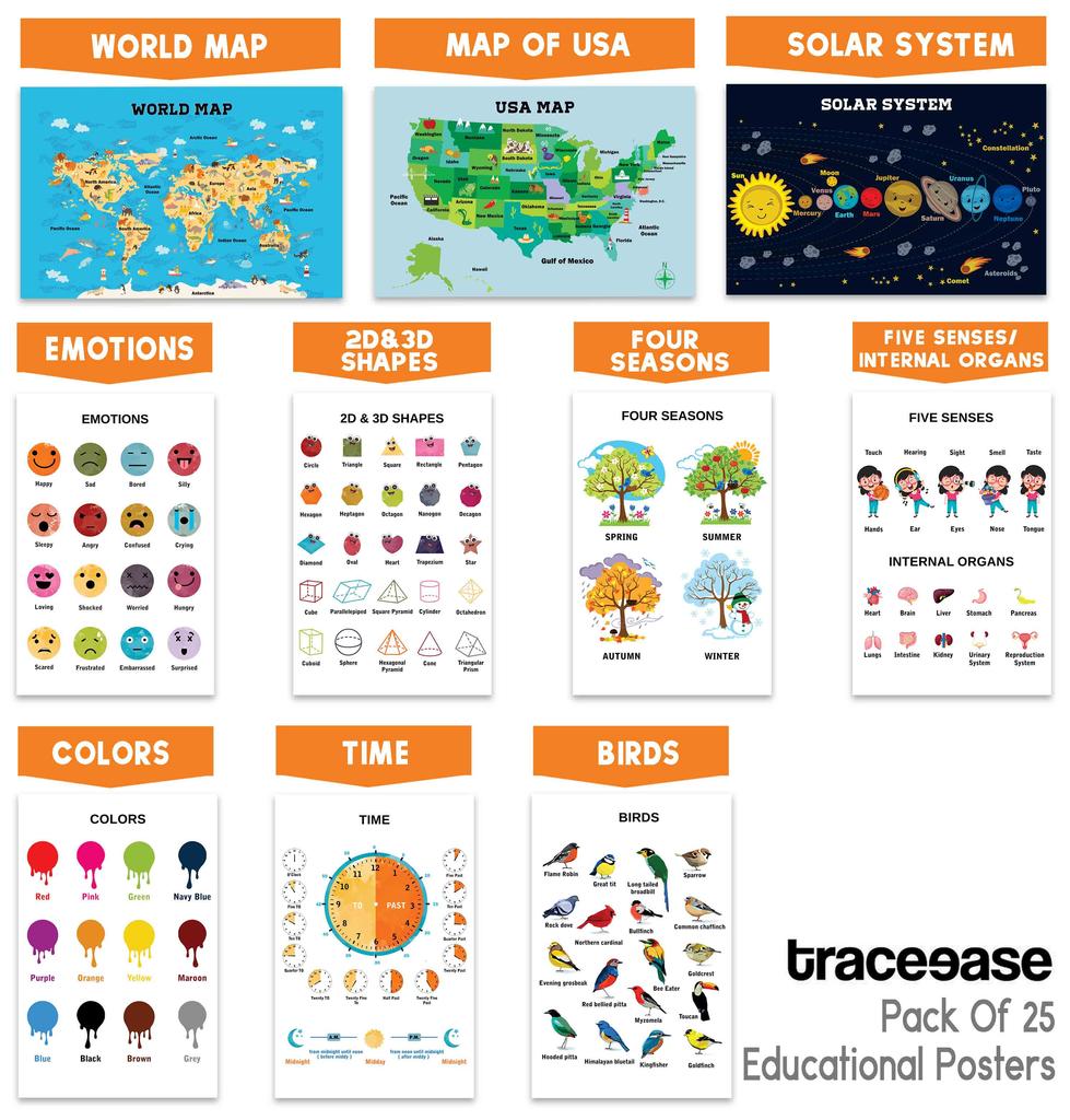 Traceease Образовательный плакат для начальной школы, упаковка из 25 ламинированных детских обучающих плакатов