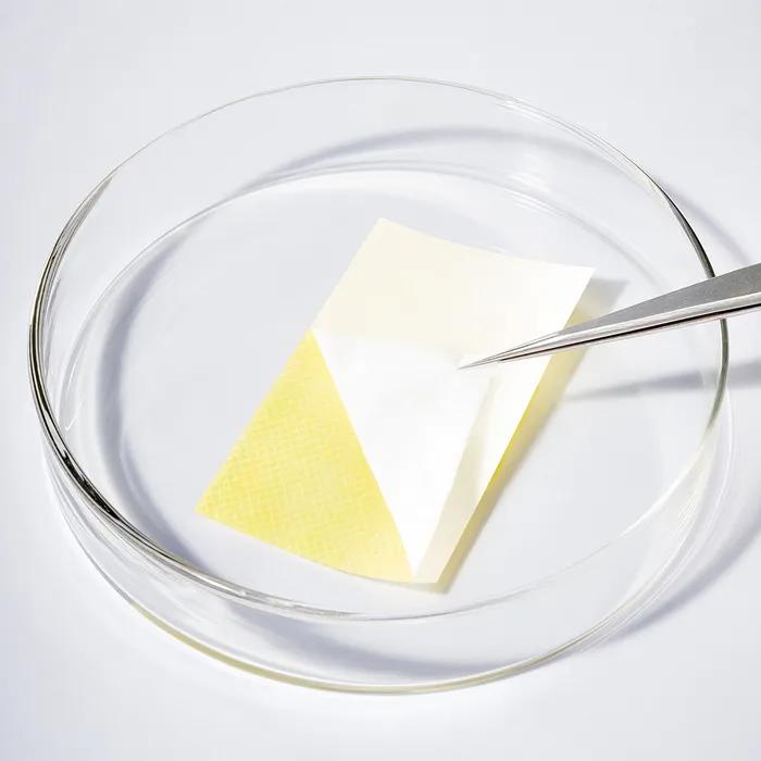 1 Box of Glutathione Melting Film (10 Sheets)