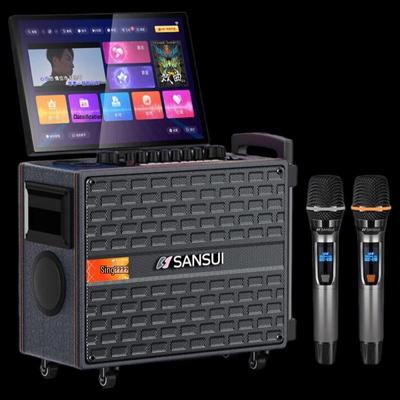 Портативная караоке-колонка на колесиках SANSUI, штекер CN (адаптер в комплекте)