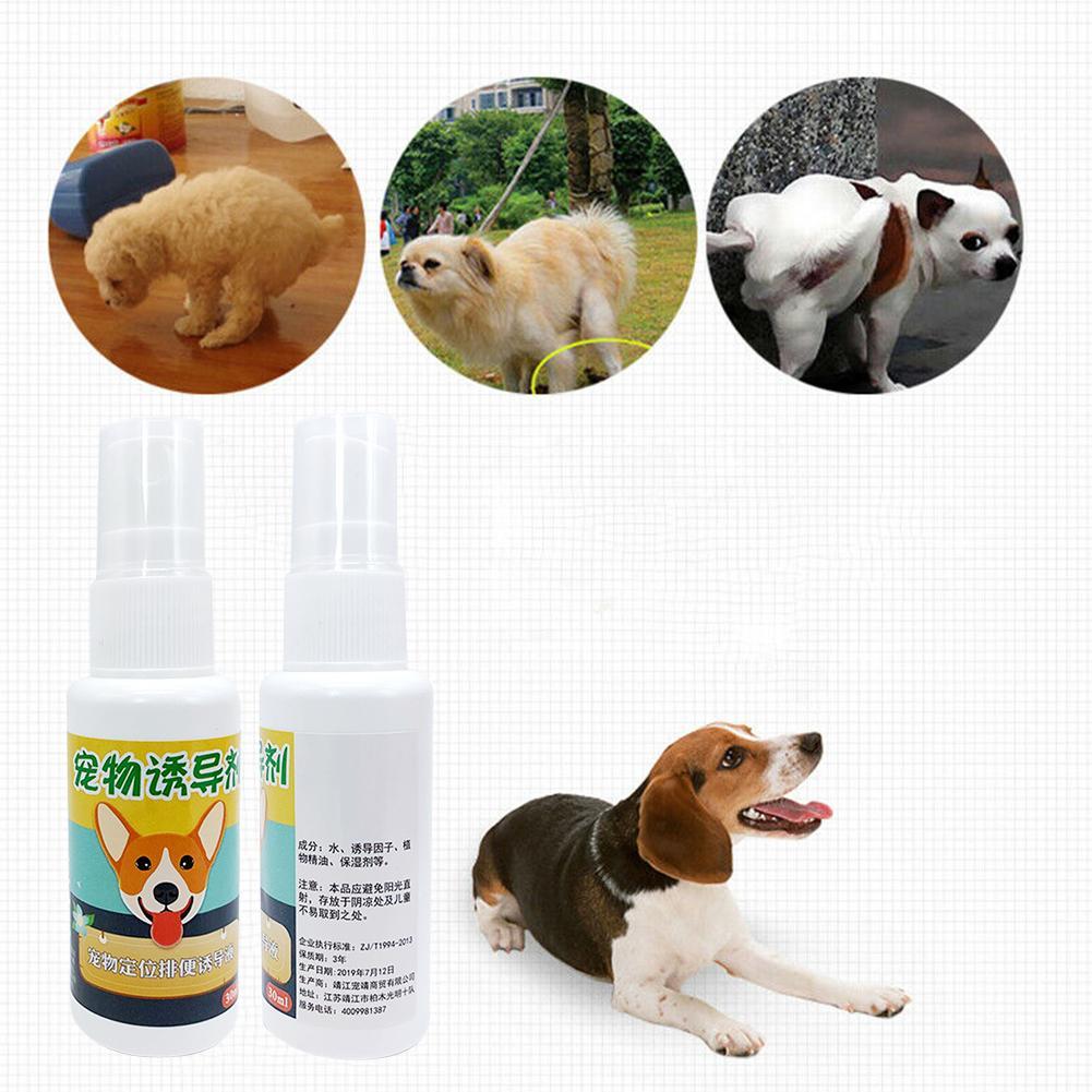 30ml Pet Dog Spray Toilet Training Inducer Dog Props Puppy For Puppy Pee Toilet Pad Supplies Pe U8D6