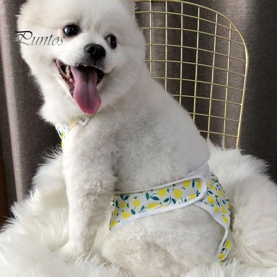 Менструальные штаны для домашних животных, регулируемые гигиенические трусики для собак, удобные герметичные физиологические штаны для домашних животных, товары для домашних животных