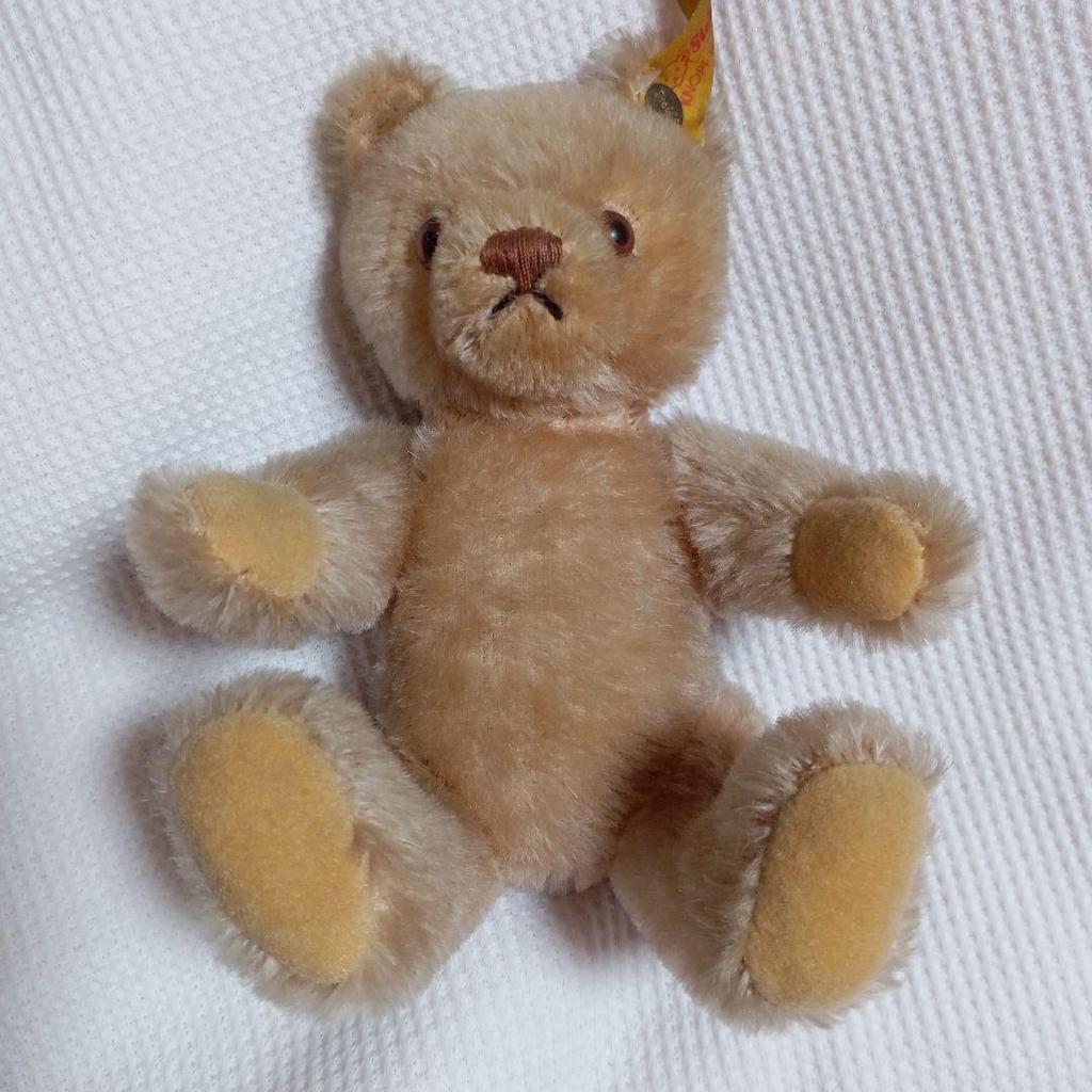 [USED] Steiff Teddy Bear with Yellow Tag