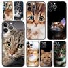 Подходит для iPhone16, чехол для мобильного телефона, новый милый чехол для мобильного телефона с изображением животных и кошек, чехол для мобильного телефона с изображением кошек
