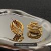 Gold Hoop Earrings for Women, European and American Style, Light Luxury, High-End Feel, 2026 New Trendy Niche Design, Exaggerated Large Ear Hoops