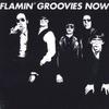 LP Пластинка FLAMIN' GROOVIES - Now LIB5066 Liberation Hall US Rock