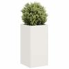 VidaXL Planter White 40x40x80 Cm Cold-rolled Steel, Flower Pot, Plant Stand, Raised Bed, Support of 860704