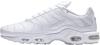 Кроссовки Air Max Plus white/white/white