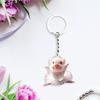 Acrylic Keychain Key Holder Portable Pig Chain for Handbag Party Anniversary