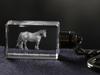 Basque Mountain Horse - Crystal Pendant with Photo of a Horse, Illuminated Pendant, Unique Gift by Art-Dog Brand