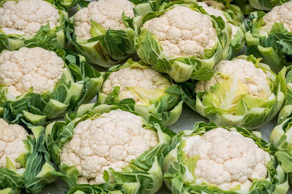 SAFLAX Organic - Цветная капуста - Снежок - 70 семян - Brassica oleracea