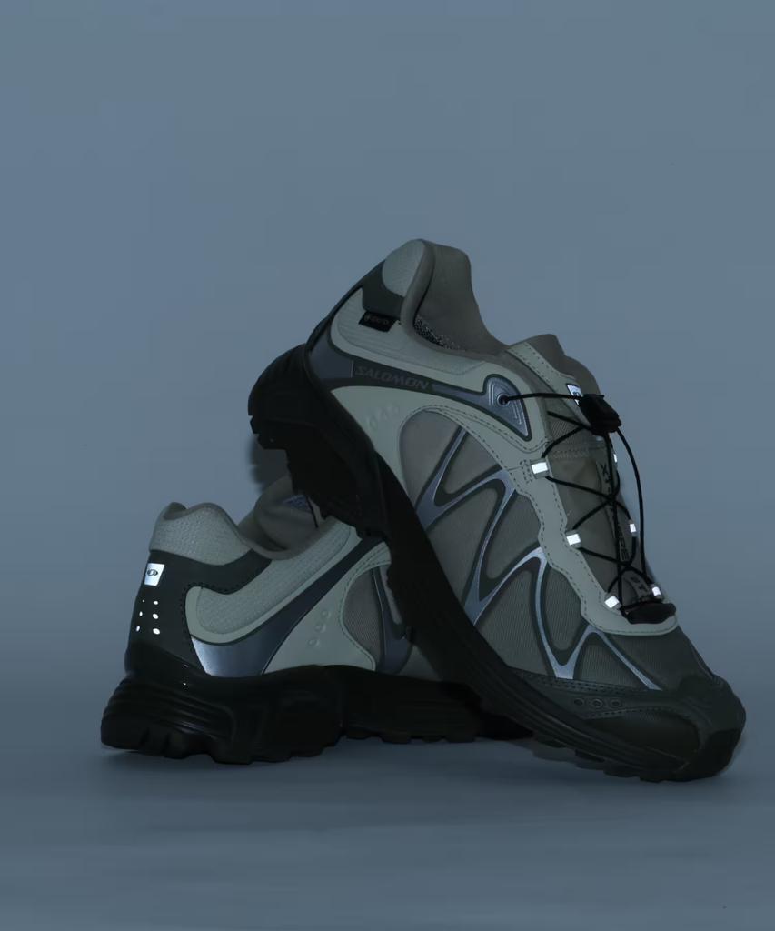 L45397600 SALOMON XT-WHISPER GTX (Мужской)