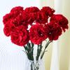 54cm Simulation Carnation Flower DIY Craft Fake Plants Artificial Red Carnations  Mother's Day Gift