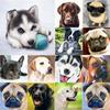 5D DIY Diamond Painting Dog Diamond Embroidery Animal Cross Stitch Full Round Drill Rhinestone Manual Art Home Decor Gift