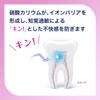 Shumitect Periodontal Care [Quasi-drug] Toothpaste for Sensitive Teeth Care High Concentration Fluoride 1450ppm 2 bottles