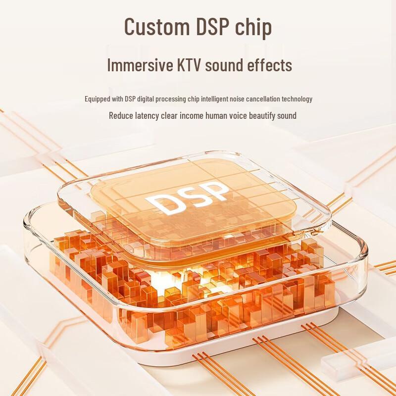 Shanshui V1 Wireless Bluetooth Karaoke Speaker Set