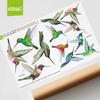 12-Pack Hummingbird Window Clings - Lifelike, Colourful Decals to Prevent Bird Strikes -Double-Sided for Bird Window Strike Prevention - Stop Birds