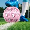 Moomin Theme Size 5 Soccer Ball, Suitable for Both Indoor and Outdoor Matches, a Gift Suitable for Everyone.