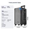 SAST 10-inch Portable Outdoor KTV Trolley Bluetooth Speaker CN plug (adapter included) (CN version)