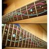 Jockomo DNA Line Steve Vai Model Guitar Position Mark Inlay Stickers