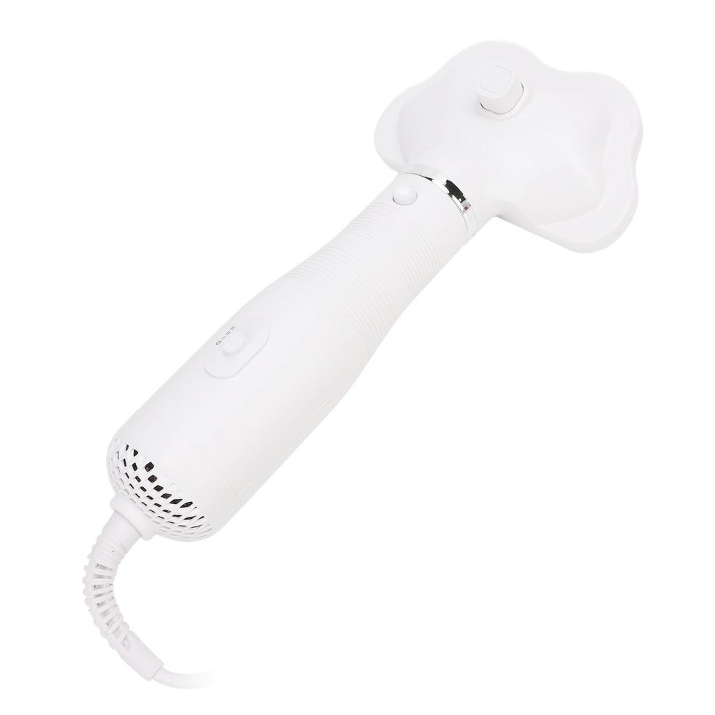 Pet Hair Dryer Brush Detachable Steel Needle Comb Low Noise Hot Air Blower for Dog Grooming and