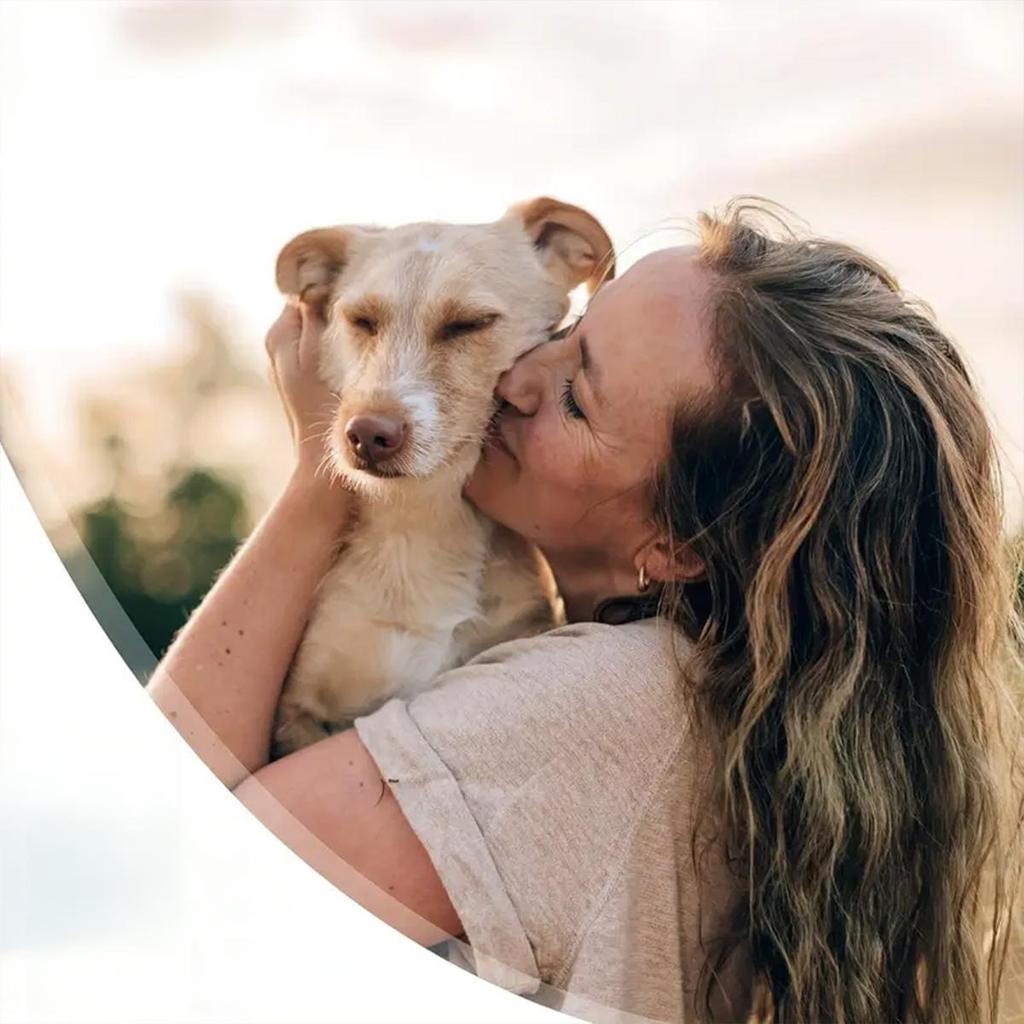 Pet Tooth Powder Has No Harmful Additives, Gently Cleans Without Harming Pets, and Is Suitable for Long-term Daily Use