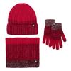 Xihong HX306 Winter Outdoor Gloves Set