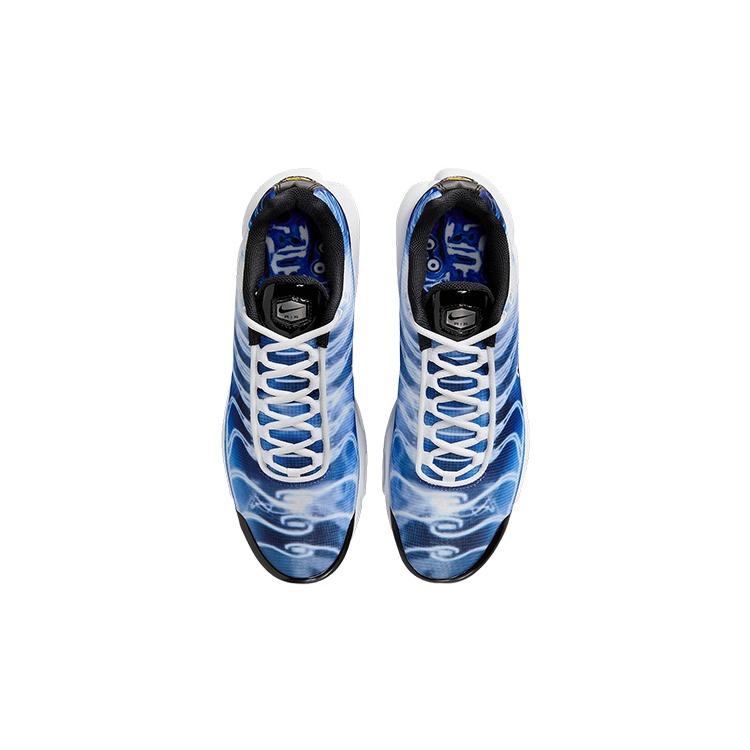 Nike Air Max Plus 'Light Photography - Old Royal' Мужские DZ3531-400