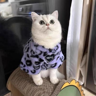 Зимняя одежда для кошек с леопардовым принтом, утолщенная теплая мягкая подкладка на двух ногах, легко носить, одежда для маленьких кошек для мальчиков и девочек