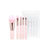 Floria Hey Mini Brush 5-piece Set, Mixed Colors, 1 Piece, the Most Popular Beauty Accessory In Korea