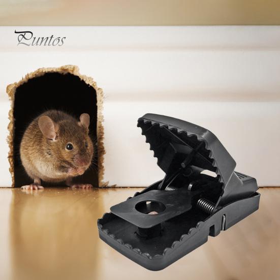 5 Pcs Mouse Trap Indoor Outdoor Mouse Snap Trap with Strong Spring Easy Setup Quick Mouse Catcher for House Mice Rats Rodents