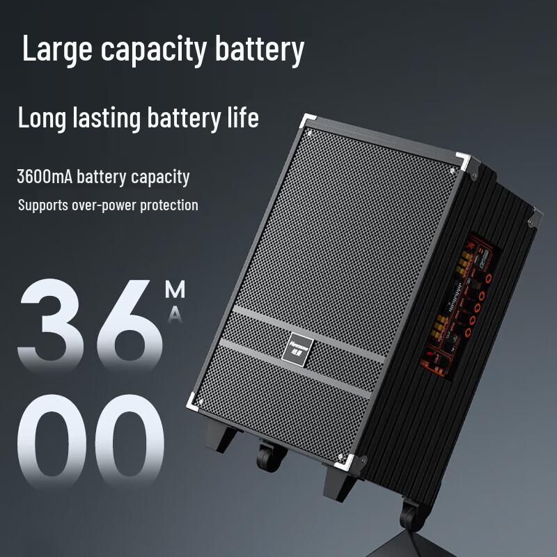 Портативная Bluetooth-колонка KTV Newmine N519 12 дюймов с двумя микрофонами (Китайская версия)