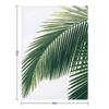 Tropical Palm Leaves Throw Blanket Camping Luxury for babies Sofa Throw Blankets