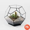 Привет Офис Настольный Дисплей Плантатор Суккуленты Горшок Цветочный Горшок Сказочный Сад Многогранник Стеклянный Геометрический Террариум БонсайПривет