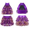 Girls Shiny Backless Latin Jazz Salsa Ballet Dance Dress Crop Top with Tassel Tutu Skirt Dancewear Costume