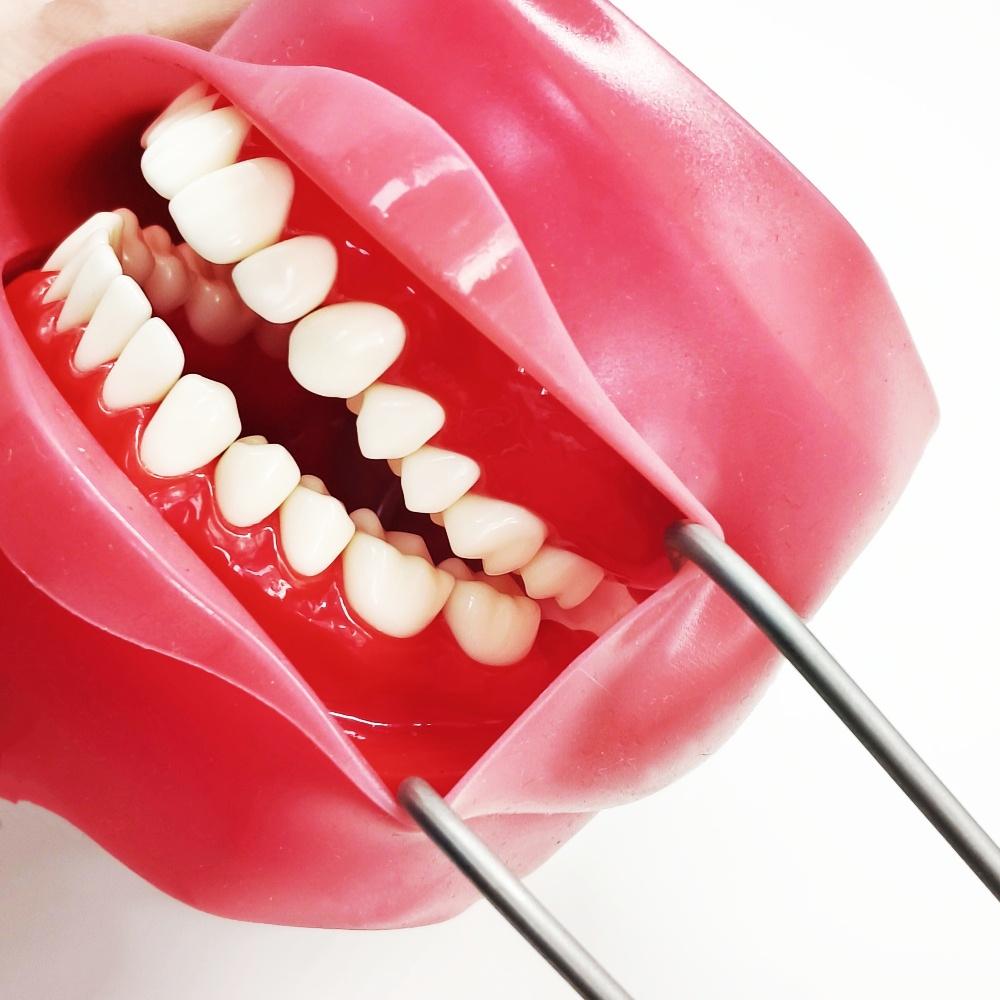 1pc or 2pcs or 3pcs Dental Implant Lip and Cheek Retractor Sternberg Retractor Restorative Curved