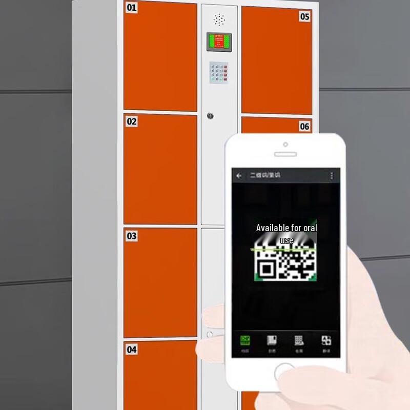 Electronic Storage Locker