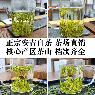 Стеклянный заварник для чая, дизайнерское ситечко для кружки, необычный фильтр, пуэр, травяные инструменты, аксессуары