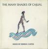CD РАЗЛИЧНЫЕ - Many Shades Of Cajual RRCD80 REPUBLIC 1996 Япония Танцевальная & Электронная Музыка Б/У