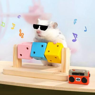 Игрушка для обогащения хомяка Деревянные раскрашенные кубики Игрушка-грызунок для морской свинки Игрушка для стачивания зубов питомца для карликовых хомяков, кроликов, песчанок, шиншилл