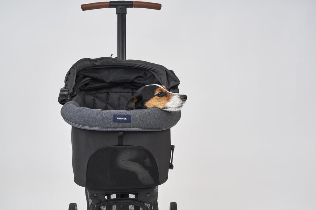 Угловая подушка светло-серая для Airbuggy для питомцев DOME3 / wiz X / AD2885